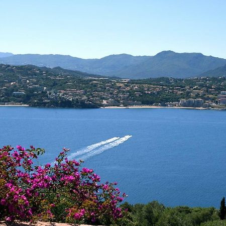 Villa Vetricella Corse Sud 오므또 외부 사진
