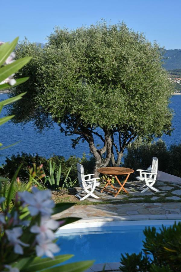 Villa Vetricella Corse Sud 오므또 외부 사진