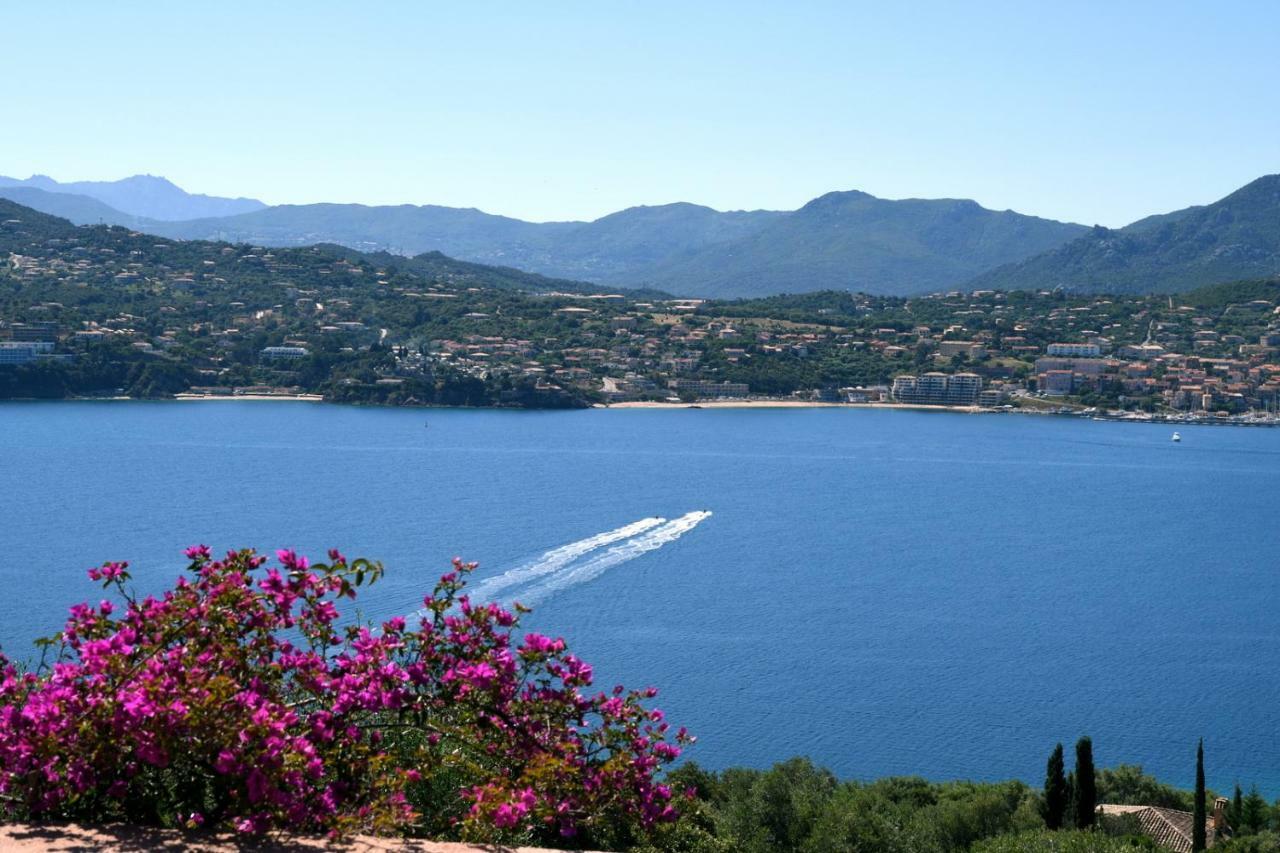 Villa Vetricella Corse Sud 오므또 외부 사진