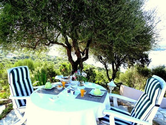 Villa Vetricella Corse Sud 오므또 외부 사진